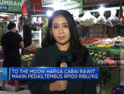 Harga Cabai Rawit Meningkat Tajam, Capai Rp100 Ribu per Kilogram