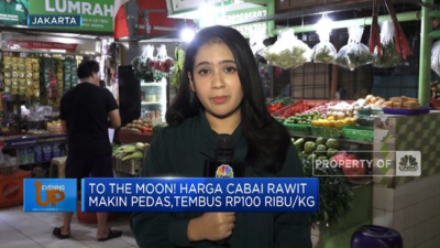 Harga Cabai Rawit Meningkat Tajam, Capai Rp100 Ribu per Kilogram