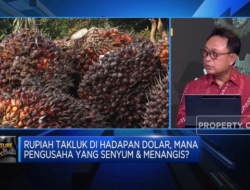 Kekurangan Dukungan bagi Industri Manufaktur dalam Gugatan Pengusaha