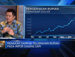 Harga Daging Impor Diprediksi Meningkat Karena Pelemahan Rupiah