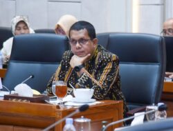 Program Wolbachia Aman untuk Mengatasi Hoaks Seputar Nyamuk Wolbachia, Kata Komisi IX