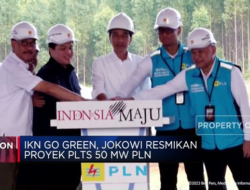 Jokowi dengan Resmi Meresmikan Proyek PLTS 50 MW PLN dalam Program IKN Go Green