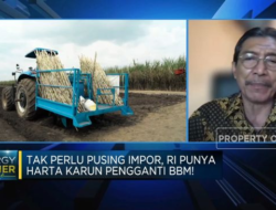 Petani Mengungkap Potensi Tebu sebagai Campuran BBM