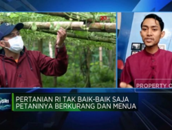 Hambatan yang Dihadapi Jokowi dalam Mendorong Milenial untuk Menjadi Petani