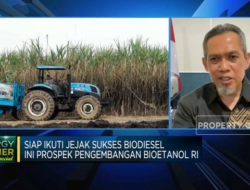 Mengikuti Jejak Kesuksesan Biodiesel: Prospek BBM Bioetanol di Indonesia