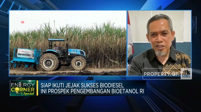 Mengikuti Jejak Kesuksesan Biodiesel: Prospek BBM Bioetanol di Indonesia