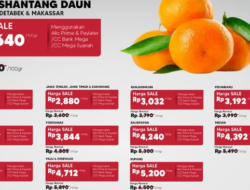 Jeruk Shantang Daun Hanya Rp 4.550 di Transmart, Harga Murah!