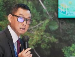 Top! Penjualan Listrik PLN Mengalami Kenaikan 5,32% pada Tahun 2023