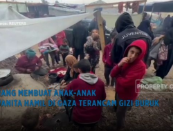 Anak-anak & Wanita Hamil di Gaza Terancam Gizi Buruk Akibat Perang