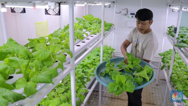 Metode Container Farming: Inovasi dalam Budidaya Sayur