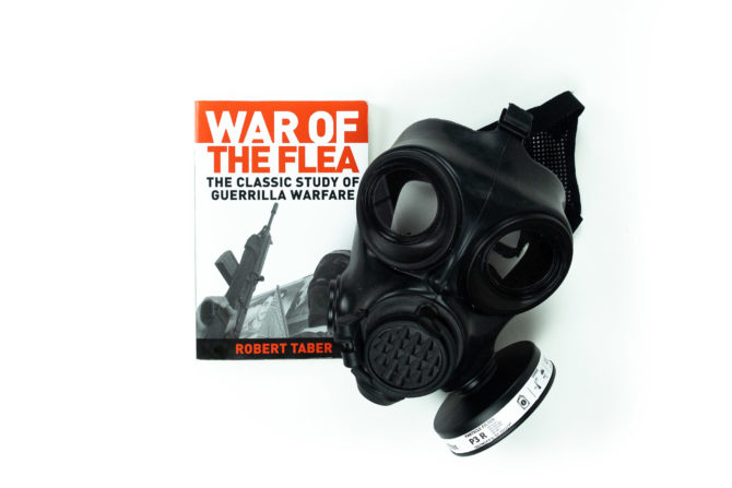 The Flea’s War: A Timeless Analysis of Guerrilla Warfare