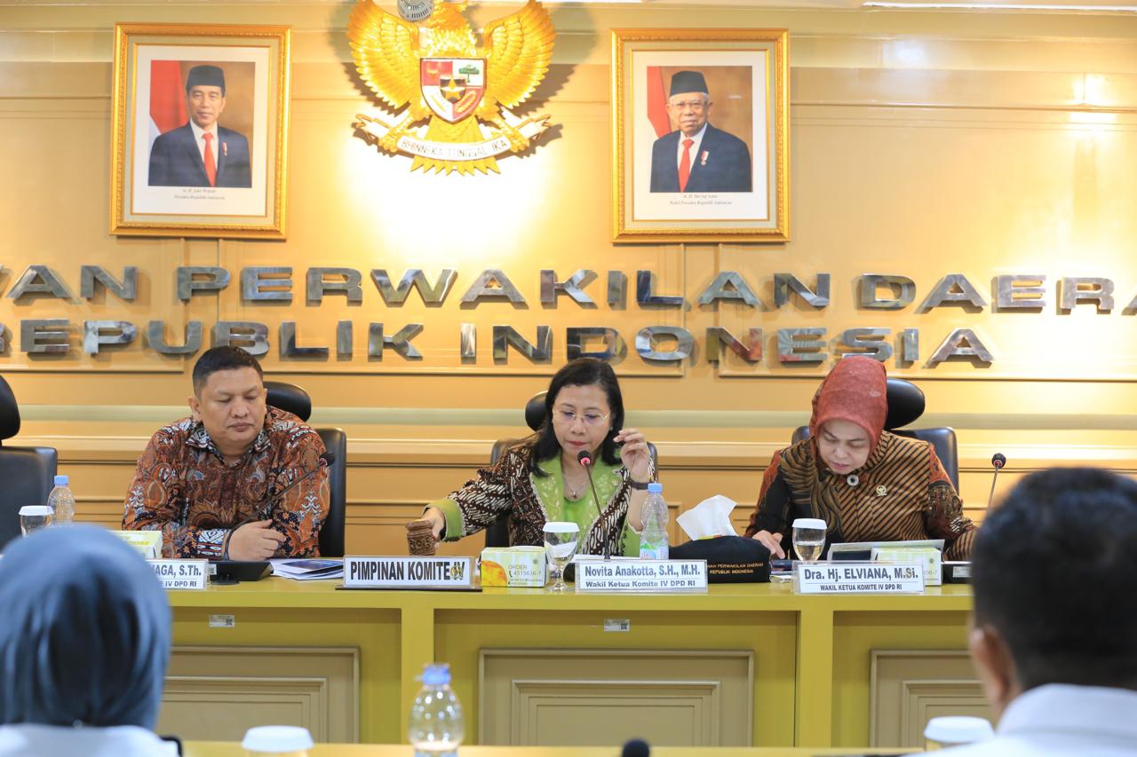 Rapat Kerja Komite IV DPD RI Bersama BPS Membahas KEM-PPKF dalam RAPBN 2025