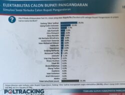 Dadang Solihat Mencuat di Poling Pilkada 2024