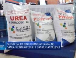 Ditolak BLT oleh Petani & DPR: Wacana Subsidi Pupuk Diganti