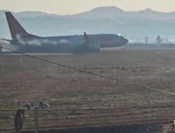 “Pesan Terakhir Penumpang Jeju Air: Burung di Sayap”