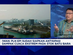 “PLN EPI Mengganti Batu Bara dengan 10 Juta Ton Biomassa”