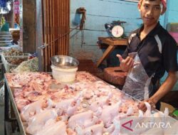 Cara Marinasi Ayam: Tips Aman dari Keracunan