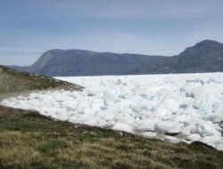 Greenland: Menantikan Kemerdekaan dari Denmark dengan Trump