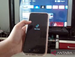 Aplikasi RedNote: Alternatif Baru Menjanjikan