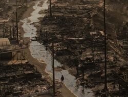 Kehebatan Bak Gaza: Hollywood Hangus Terbakar