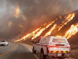 “Penemuan Terbaru: Hutan Los Angeles Terbakar Akibat Ini”