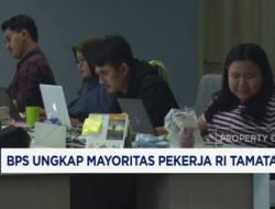 Pekerja RI Mayoritas Tamatan SD, BPS Ungkap Data Terbaru
