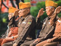 Semua yang Perlu Anda Ketahui tentang Veteran pada Hari Veteran Nasional