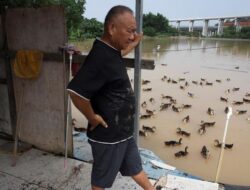 Potret Banjir Bandang China: Wilayah Tersapu Cokelat