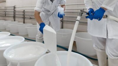 Investigasi Susu Impor China: Daging Babi Eropa Selesai