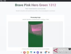 Cara Membuat Foto Viral Brave Pink & Hero Green di Medsos