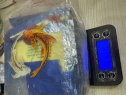 Pengedar Narkoba di Jakbar Ditangkap, 1 Kg Sabu Disita