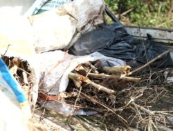 Dapur Sampah dan Harmoni Alam di Arista Montana