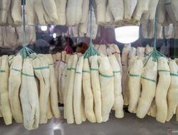 Manfaat Tape Singkong dan Efek Sampingnya: Apa yang Perlu Anda Ketahui