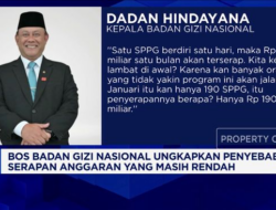 Penyebab Rendahnya Serapan Anggaran oleh Kepala BGN