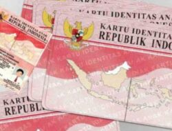 Pentingnya KTP Pink: Fungsi, Prosedur, dan Penjelasan Lengkap
