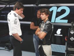 Wolff Kritik Tameng Antonelli: Tinjauan Kritis
